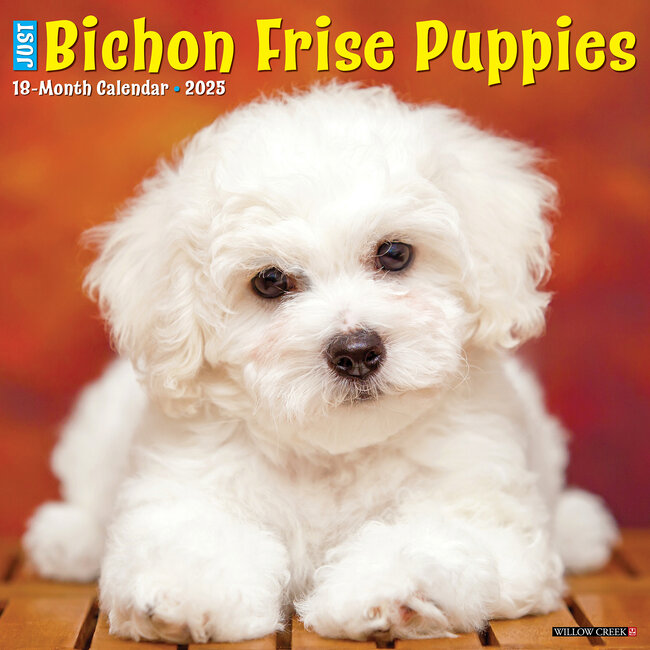 Calendario dei cuccioli di Bichon Frise 2025