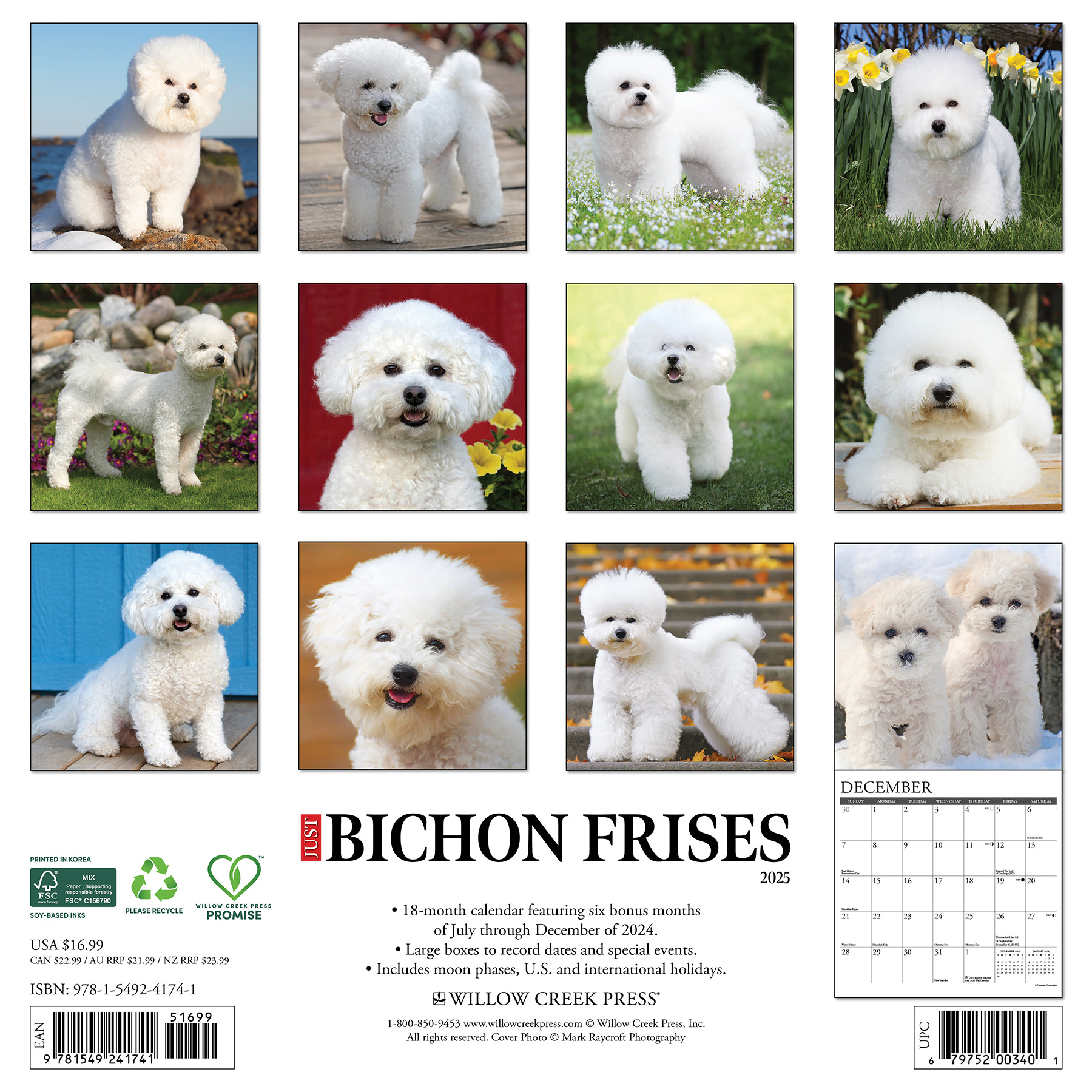 Buy Bichon Frise Calendar 2025 Order online easily Kalenderwinkel.nl