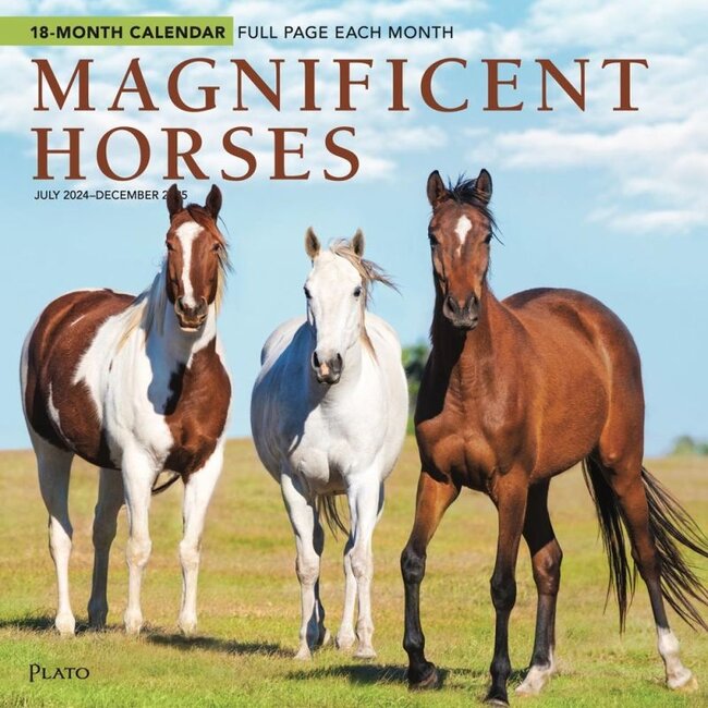 Magnificent Horses Calendar 2025