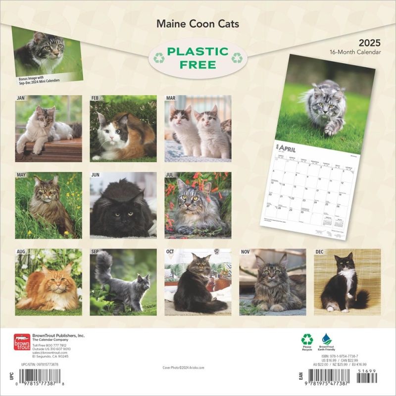 Maine Coon Calendar 2025 Buy Order online easily and quickly