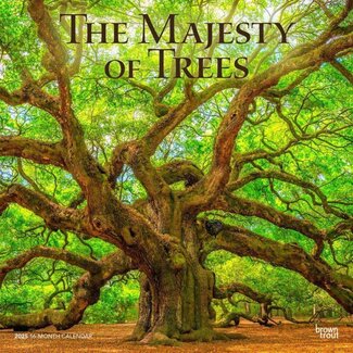 Browntrout Die Majestät der Bäume Kalender 2025
