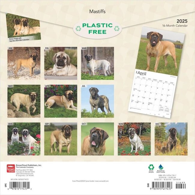 English Mastiff Calendar 2025 Buy? Order online quickly and easily