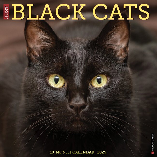 Calendrier des chats noirs 2025