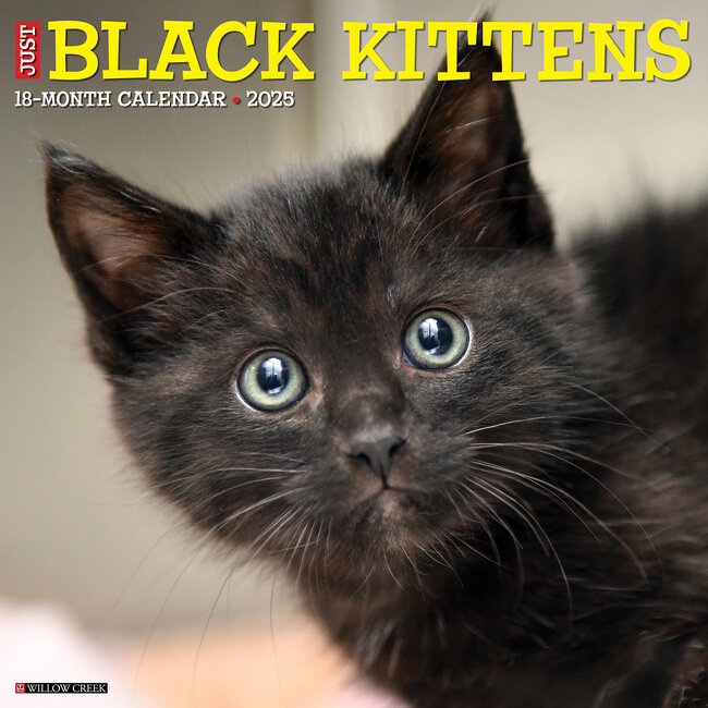 Black Kittens Calendar 2025