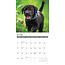 Labrador Retriever Cachorros Negros Calendario 2025