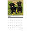 Labrador Retriever Black Calendar 2025