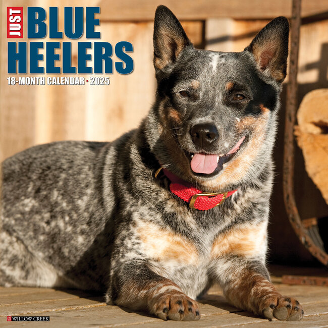 Calendario Blue Heeler 2025