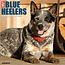 Blue Heeler Calendar 2025