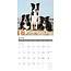 Border Collie Calendar 2025