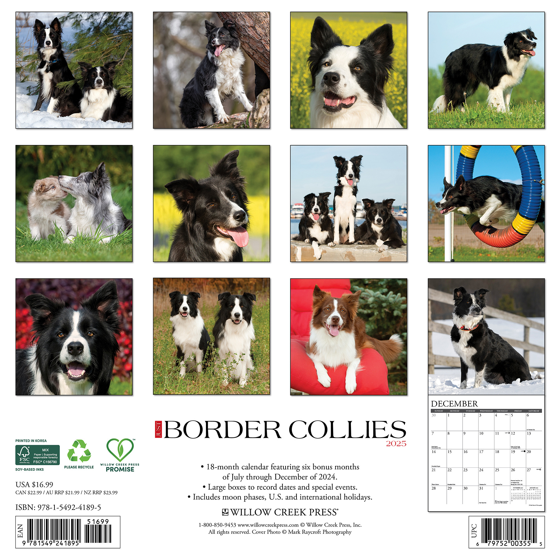 Border Collie Calendar 2025 Buy? Order easily online Kalenderwinkel.nl