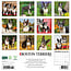 Boston Terrier Kalender 2025