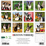 Calendario Boston Terrier 2025