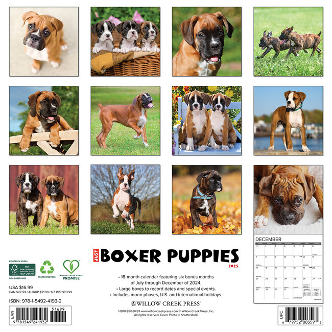 Buying Boxer Puppies Calendar 2025 simply order online