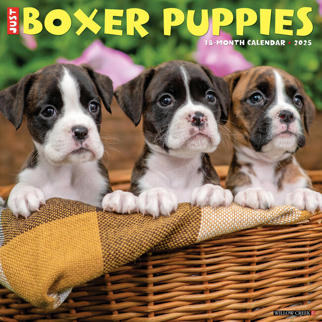 Willow Creek Boxer Puppies Calendar 2025