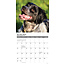 Bretagne Spaniel Kalender 2025