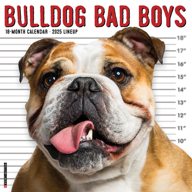 Willow Creek Bulldog Bad Boys Calendar 2025
