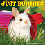 Willow Creek Rabbits Calendar 2025