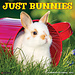 Willow Creek Rabbits Calendar 2025
