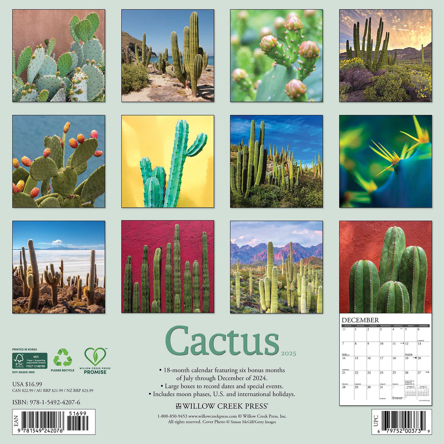 Buy Cactus Calendar 2025? Order easily online Kalenderwinkel.nl