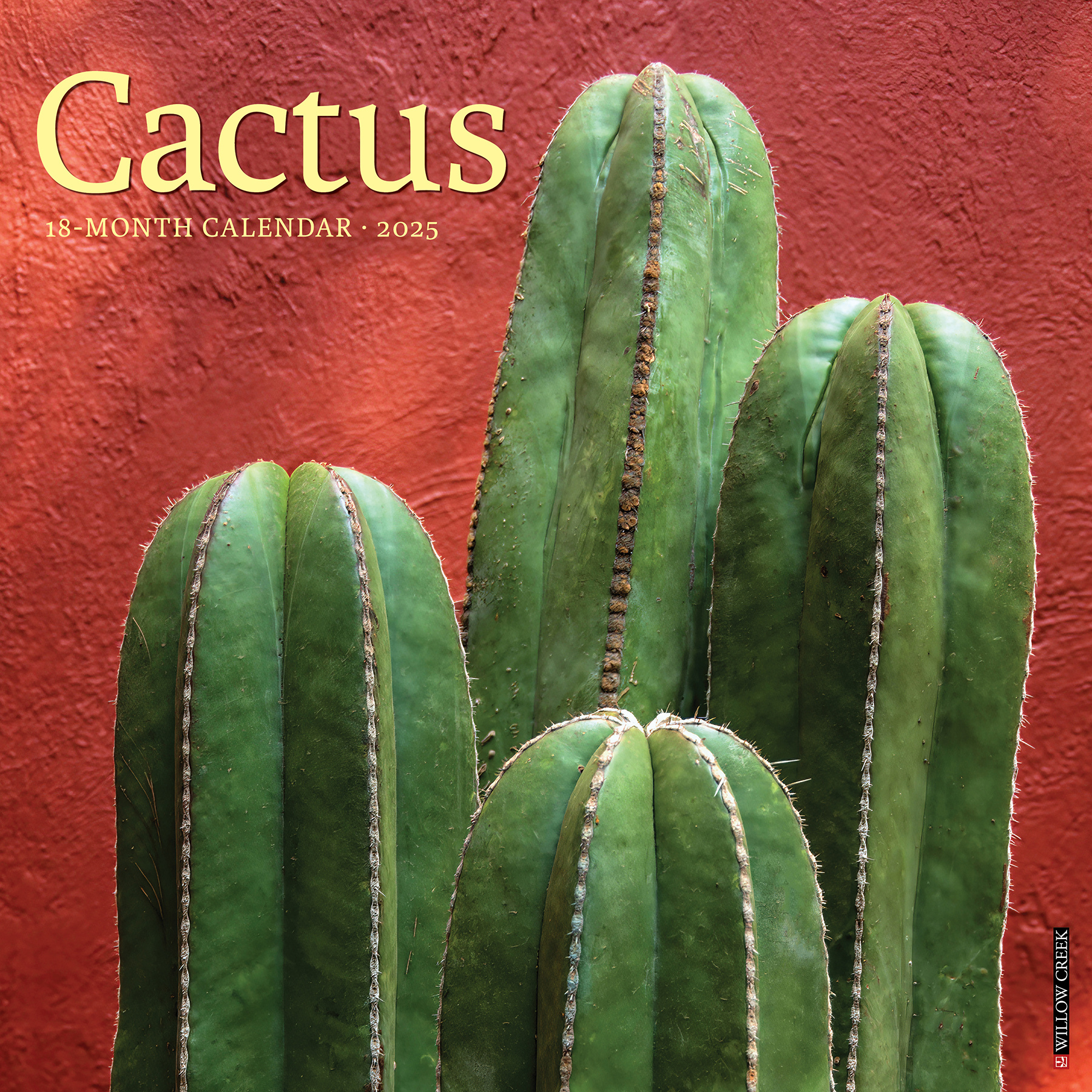 Buy Cactus Calendar 2025? Order easily online Kalenderwinkel.nl