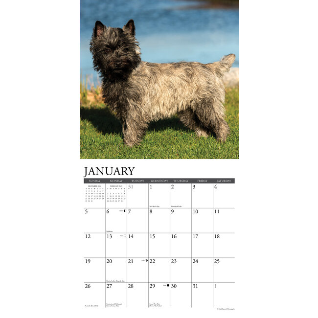 Cairn Terrier Kalender 2025 Kopen? Bestel eenvoudig Online