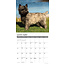 Cairn Terrier Calendar 2025