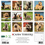 Cairn Terrier Kalender 2025