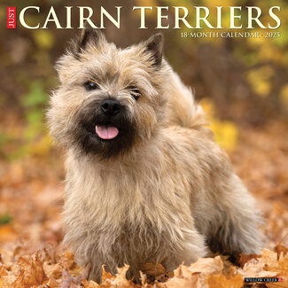 Willow Creek Calendario Cairn Terrier 2025