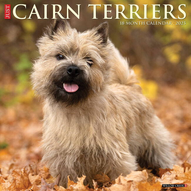 Cairn Terrier Kalender 2025