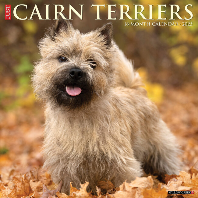 Willow Creek Cairn Terrier Calendar 2025
