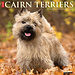 Willow Creek Cairn Terrier Kalender 2025