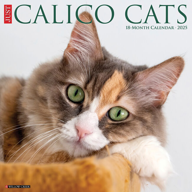 Calico Cats Calendar 2025