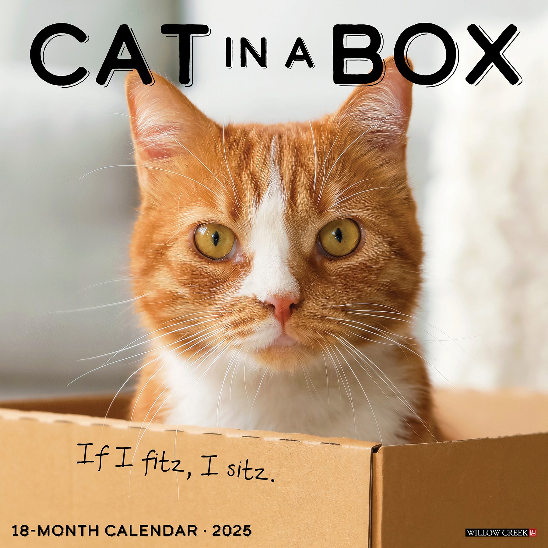 Cat in a Box Kalender 2025