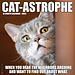 Willow Creek Calendario Cat-Astrophe 2025