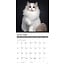 Calendrier des chats 2025