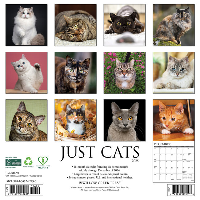 Comprar Calendario Gatos 2025 Simplemente haga su pedido en línea Kalenderwinkel.nl