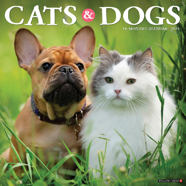 Cats and Dogs Calendar 2025