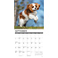 Cavalier King Charles Spaniel Cachorros Calendario 2025