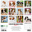 Cavalier King Charles Spaniel Cachorros Calendario 2025