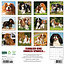 Cavalier King Charles Spaniel Calendar 2025