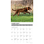 Calendario Chesapeake Bay Retriever 2025