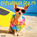 Willow Creek Chihuahua-Regeln Kalender 2025