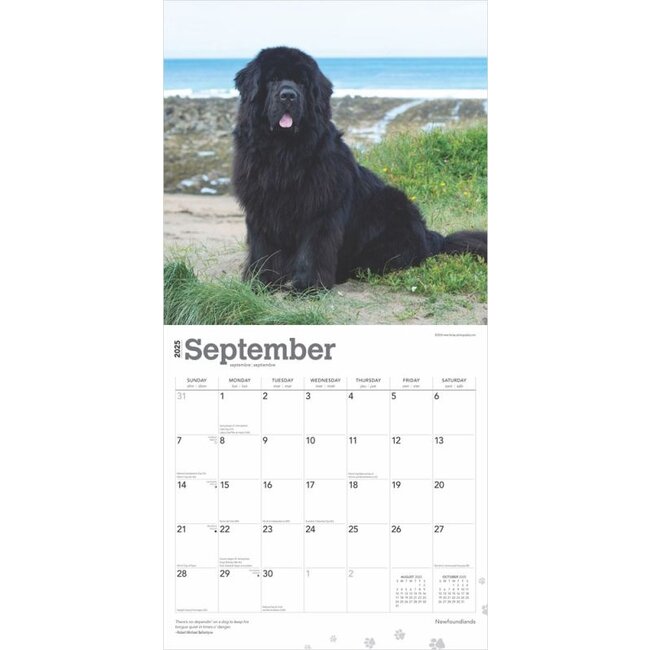 Newfoundland Calendar 2025 Buy Order easily online Kalenderwinkel.nl