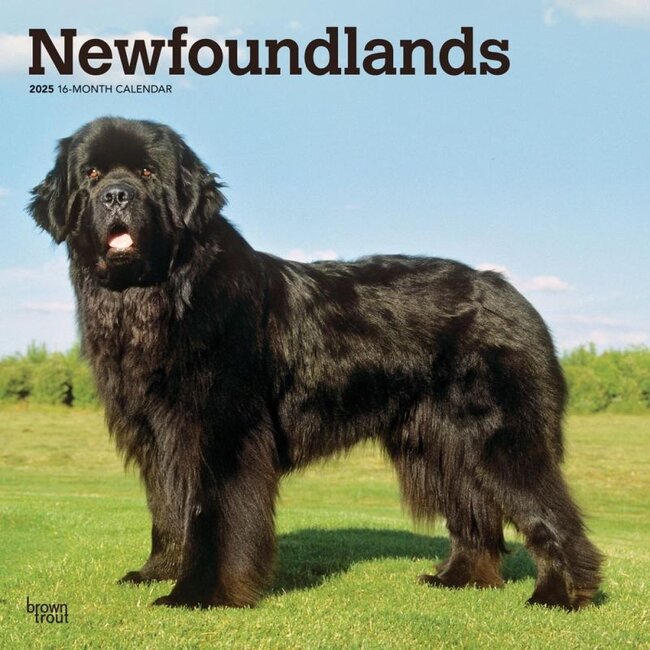 Newfoundlander Kalender 2025