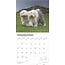 Bobtail / Old English Sheepdog Calendario 2025