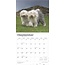 Bobtail / Old English Sheepdog Kalender 2025