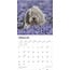 Bobtail / Old English Sheepdog Calendario 2025