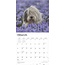 Calendrier Bobtail / Old English Sheepdog 2025