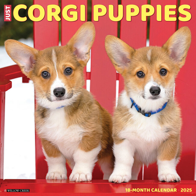 Willow Creek Welsh Corgi Puppies Kalender 2025