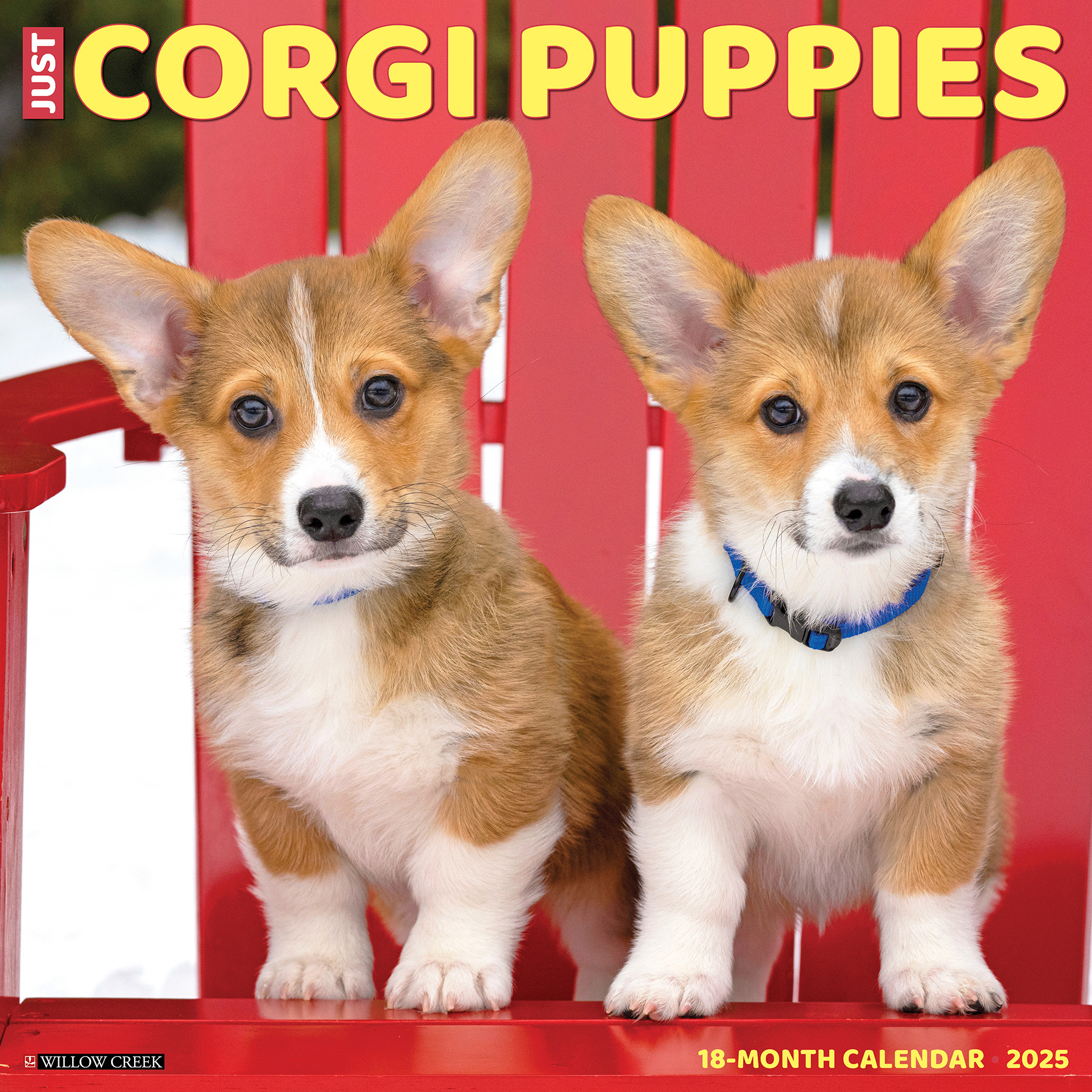 Welsh Corgi Puppies Kalender 2025